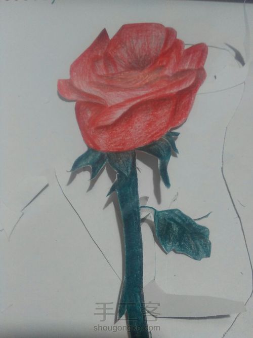 情人节贺卡 第15步