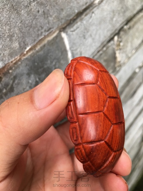 乌龟壳的雕刻方法 第20步