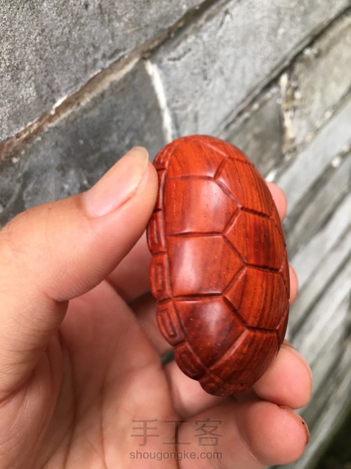 乌龟壳的雕刻方法 第21步