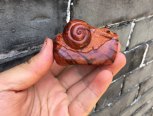 木雕蜗牛制作过程