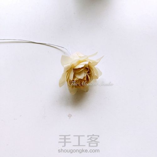 真丝手造花-大丽花 第5步