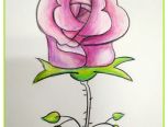 玫瑰花🌹简笔画手绘