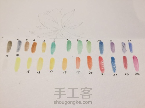 零基础水彩花卉 第12步