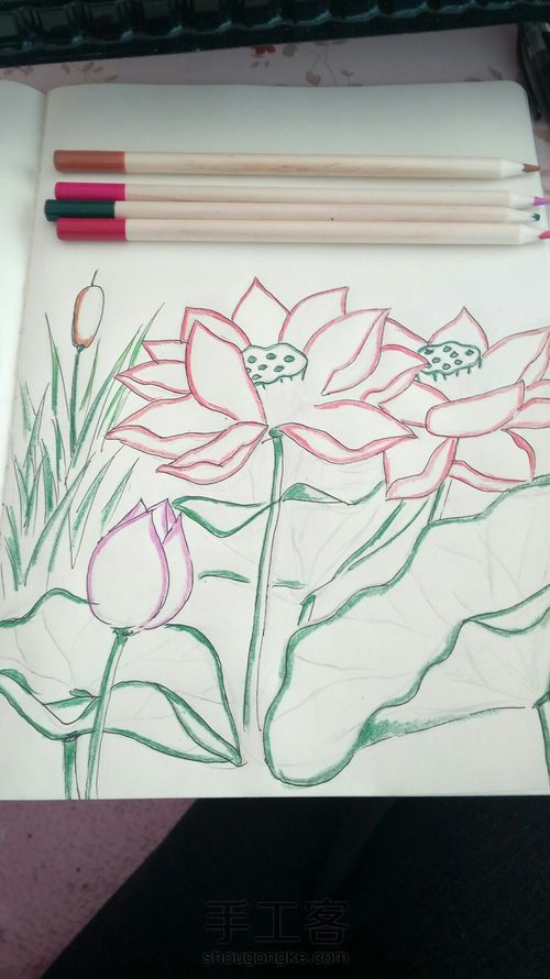 （零基础彩铅荷花教程）君可愿提笔，流转一朵金莲，佛前诉求千年 第4步