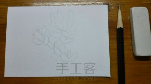 【临摹】手绘水彩多肉 小插画 第2步