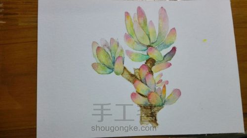 【临摹】手绘水彩多肉 小插画 第8步