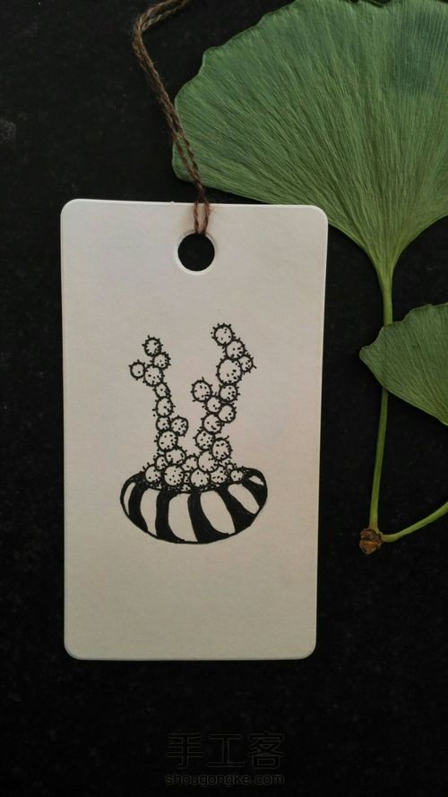 【临摹】手绘书签 黑白书签 线描装饰画 小多肉 第1步