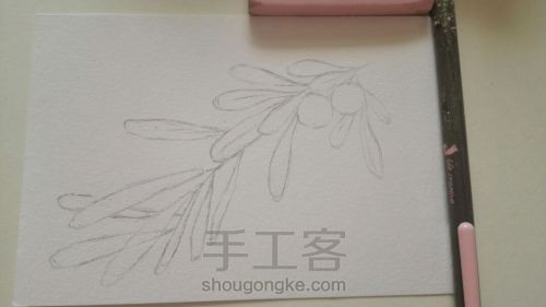 【临摹】mdol手绘小植物 蓝莓 水彩画 手绘明信片 第2步