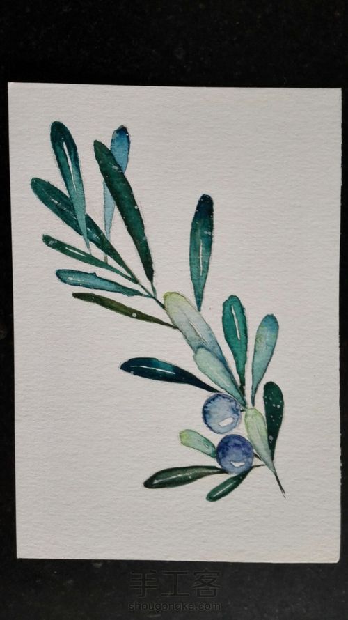 【临摹】mdol手绘小植物 蓝莓 水彩画 手绘明信片 第4步