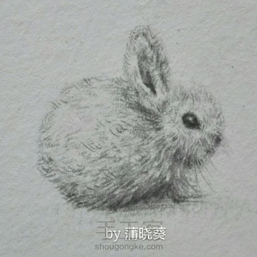 手绘萌萌哒小兔子 第1步