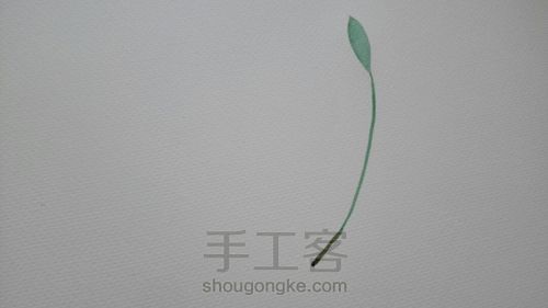 【借鉴】八种手帐常见小清新植物  入门级 第1步