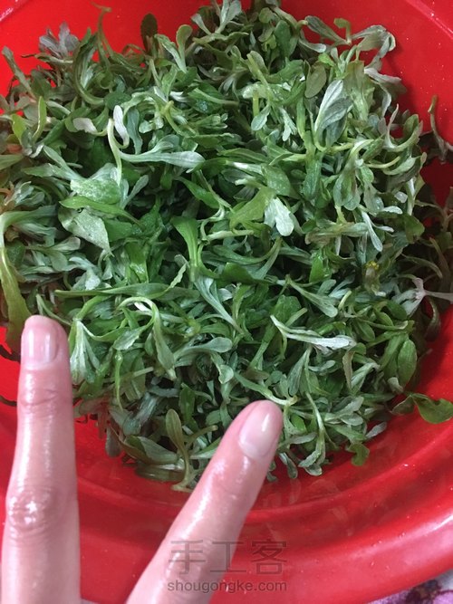 自己采摘棉菜，和面，包棉菜饼，最后的棉菜饼就是美味 第1步