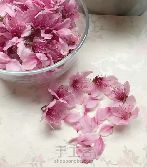 桃花酒 第1步