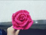皱纹纸玫瑰（3）