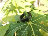 新手向教程