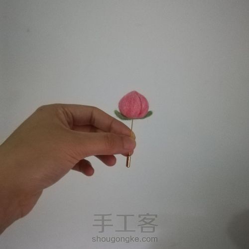 快快快来做一个小蜜桃！ 第12步