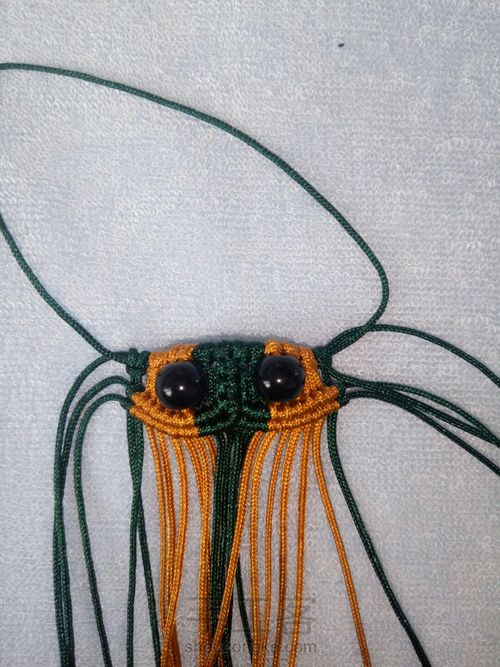 小金鱼教程 第16步