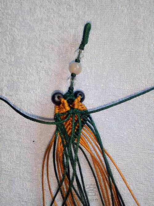 小金鱼教程 第23步