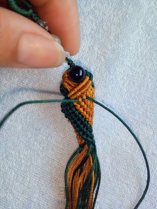 小金鱼教程 第34步