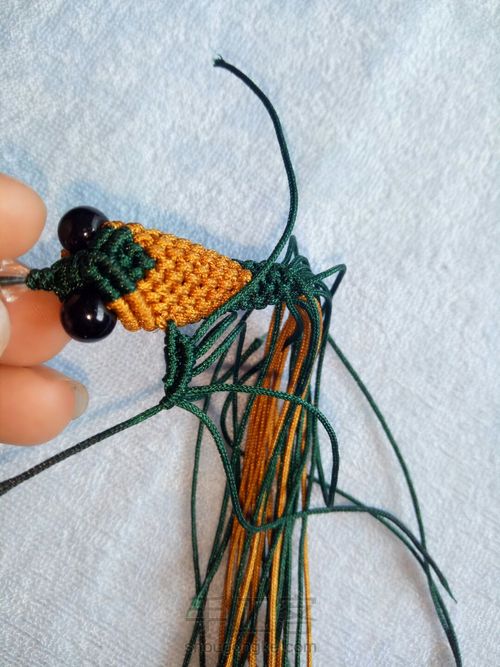 小金鱼教程 第38步