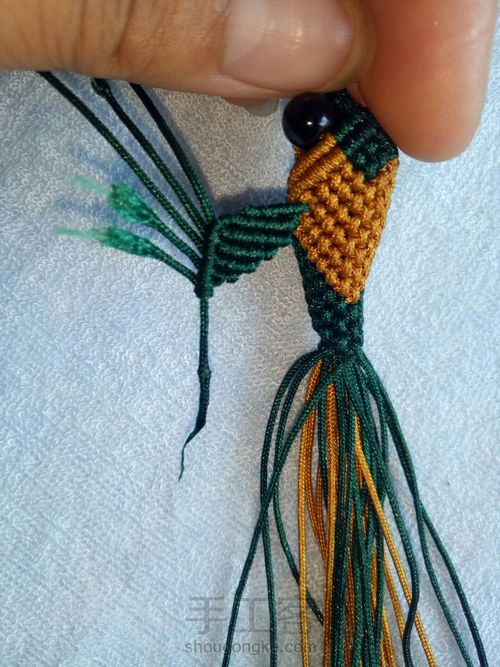 小金鱼教程 第39步