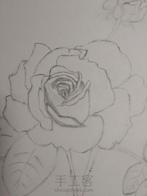 玫瑰🌹二部曲 第8步