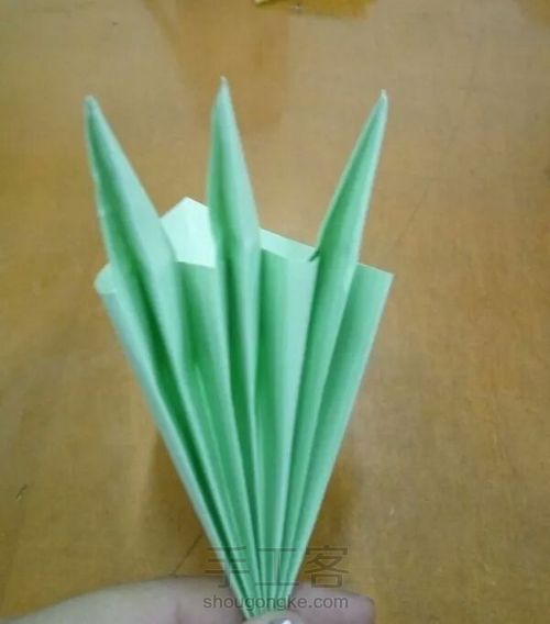 双重花瓣 第11步