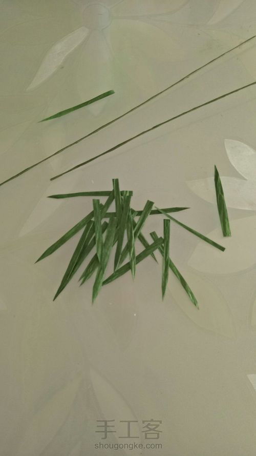 纸滕格桑花 第7步