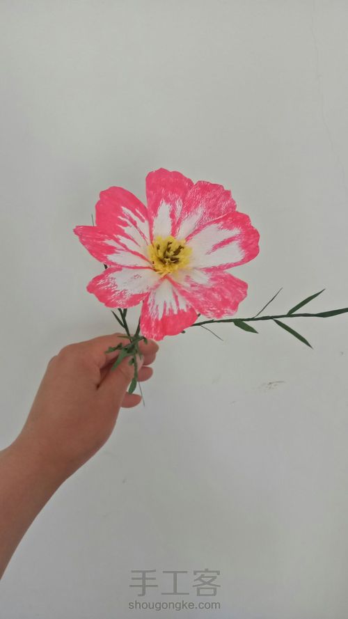 纸滕格桑花 第8步