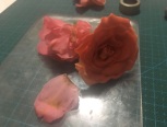 猜猜哪朵是真花-软陶玫瑰花