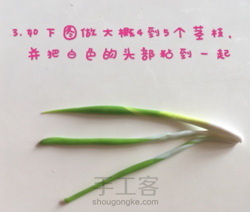 软陶蔬菜篇-菠菜萝卜西红柿白菜 第4步