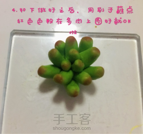 软陶多肉植物—虹之玉锦的做法 第7步