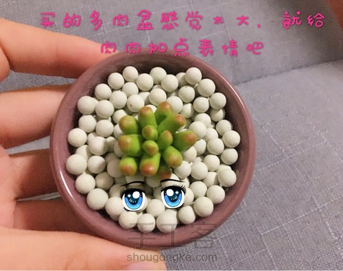软陶多肉植物—虹之玉锦的做法 第11步