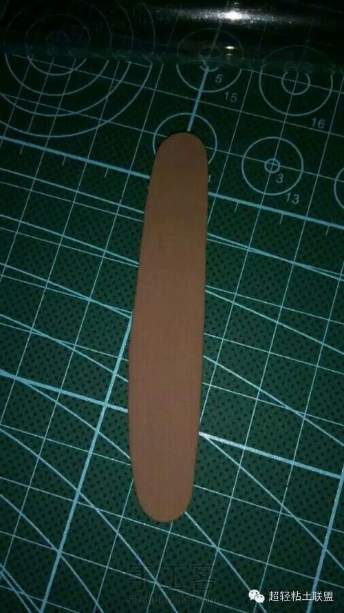 爱丽丝梦游仙境(转) 第12步