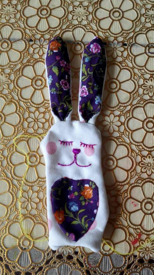 拥有爱心的小兔子 第8步