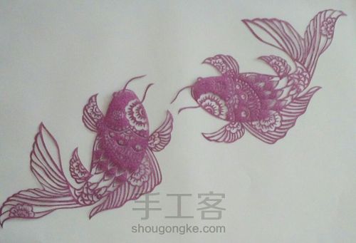 鱼 第11步