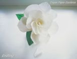 Crepe Paper Gardenia——栀子花开(纸藤)