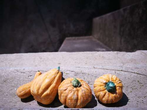 【微缩制作】南瓜~ 第11步