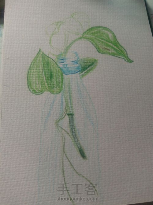 绿萝⊙▽⊙ 第1步