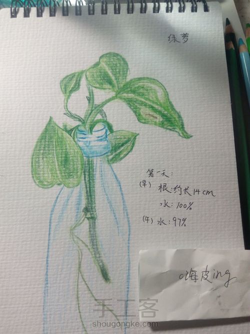 绿萝⊙▽⊙ 第7步