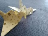 美丽的千纸鹤，你会吗？