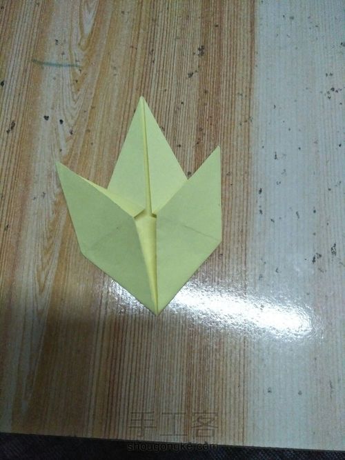 复杂的枫叶 第2步