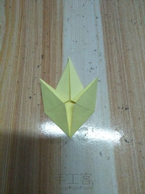 复杂的枫叶 第8步