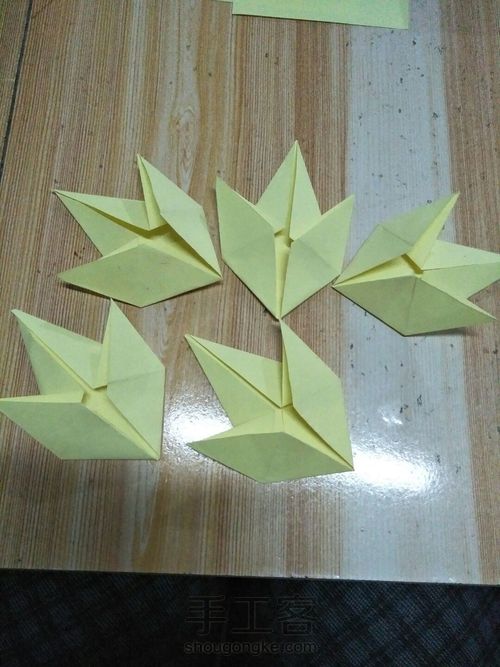 复杂的枫叶 第9步