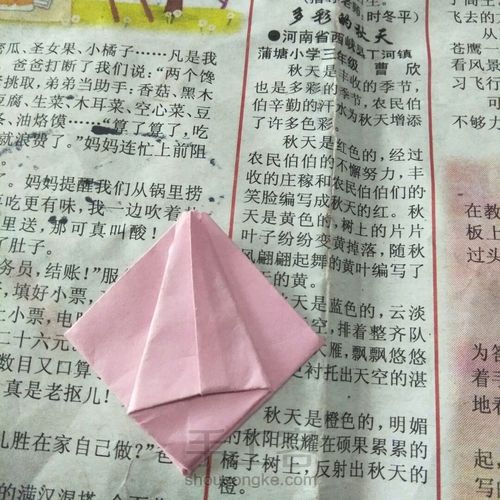 郁金香 第8步