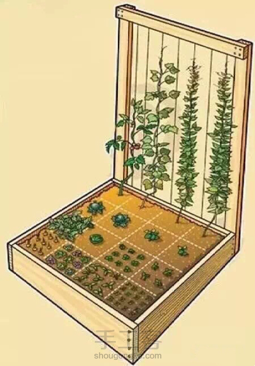 【转】这个一米菜园，可以让全家人吃上放心蔬菜 第2步