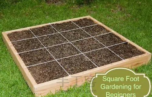 【转】这个一米菜园,可以让全家人吃上放心蔬菜 第7步