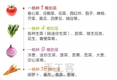 【转】这个一米菜园,可以让全家人吃上放心蔬菜 第10步