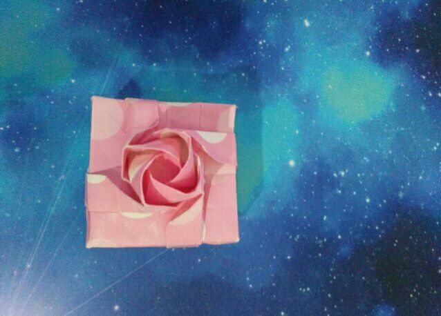 川崎玫瑰和玫瑰千纸鹤的完美结合