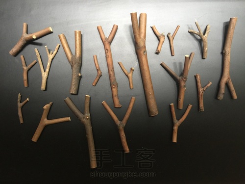 原木小作  召唤神兽 第3步